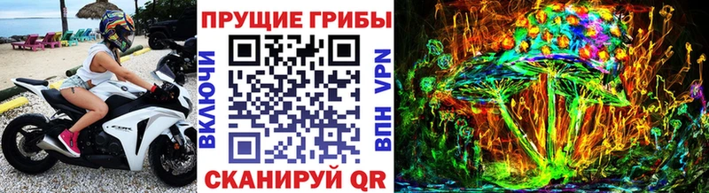 Псилоцибиновые грибы GOLDEN TEACHER  Калуга 